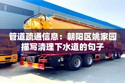 北京管道疏通信息：朝阳区姚家园描写清理下水道的句子