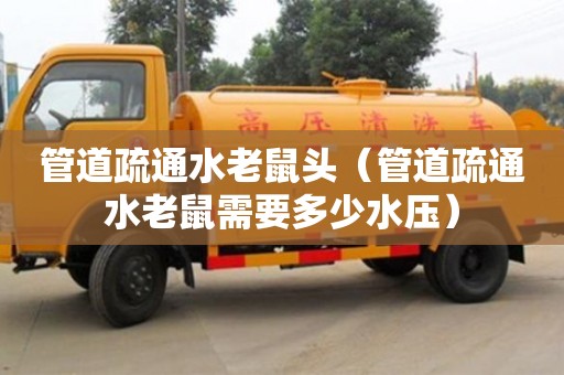 深圳管道疏通水老鼠头（管道疏通水老鼠需要多少水压）