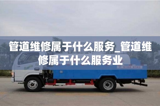 管道维修属于什么服务_管道维修属于什么服务业