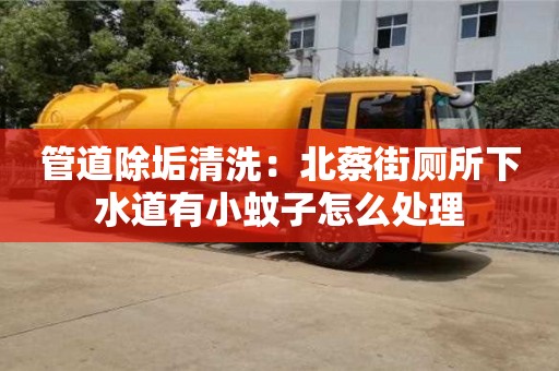 绍兴管道除垢清洗：北蔡街厕所下水道有小蚊子怎么处理