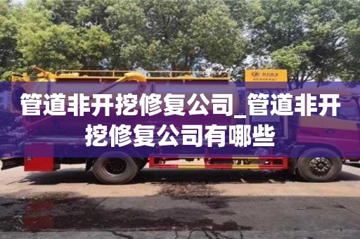 北京管道非开挖修复公司_管道非开挖修复公司有哪些