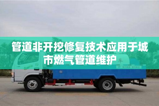 武汉管道非开挖修复技术应用于城市燃气管道维护