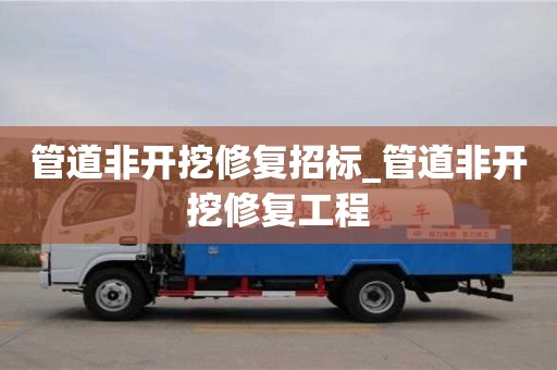 北京管道非开挖修复招标_管道非开挖修复工程