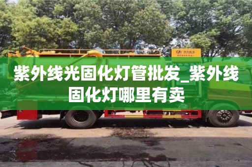 上海紫外线光固化灯管批发_紫外线固化灯哪里有卖