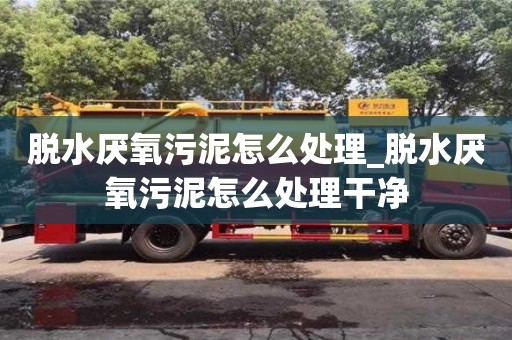 北京脱水厌氧污泥怎么处理_脱水厌氧污泥怎么处理干净