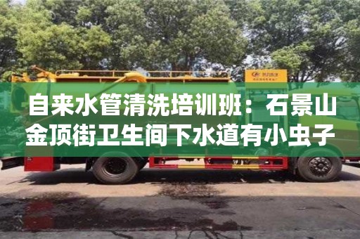 长沙自来水管清洗培训班：石景山金顶街卫生间下水道有小虫子怎么处理