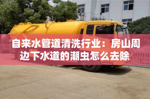 上海自来水管道清洗行业：房山周边下水道的潮虫怎么去除