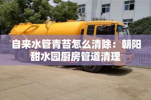 唐山自来水管青苔怎么清除：朝阳甜水园厨房管道清理
