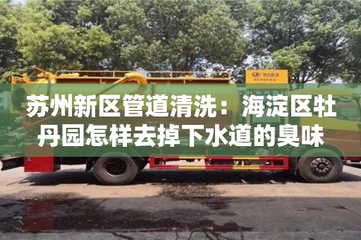 苏州新区管道清洗：海淀区牡丹园怎样去掉下水道的臭味