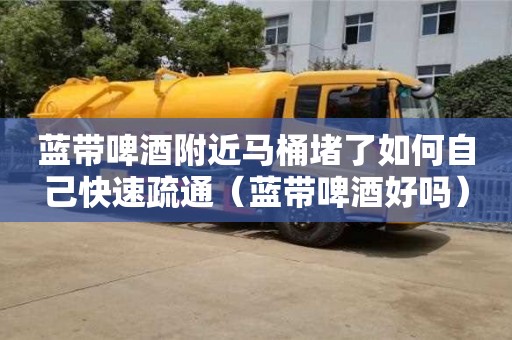 蓝带啤酒附近马桶堵了如何自己快速疏通（蓝带啤酒好吗）