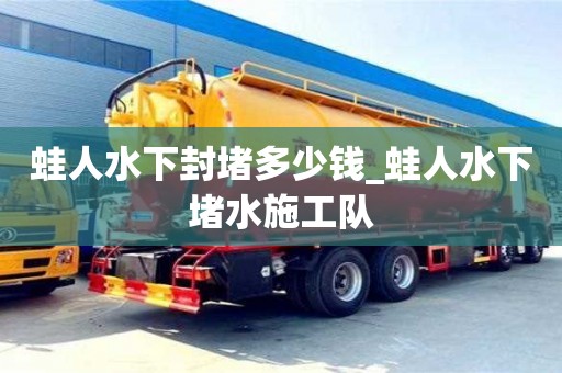 蛙人水下封堵多少钱_蛙人水下堵水施工队