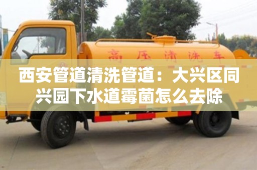 郑州西安管道清洗管道：大兴区同兴园下水道霉菌怎么去除