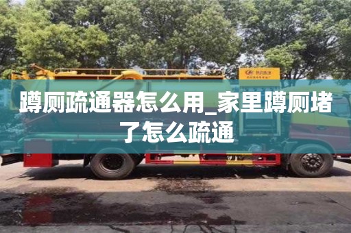 蹲厕疏通器怎么用_家里蹲厕堵了怎么疏通