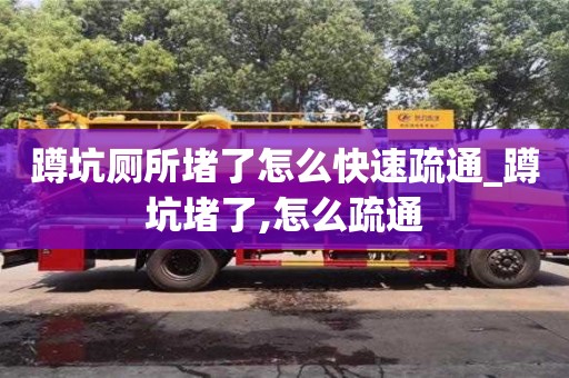 北京蹲坑厕所堵了怎么快速疏通_蹲坑堵了,怎么疏通