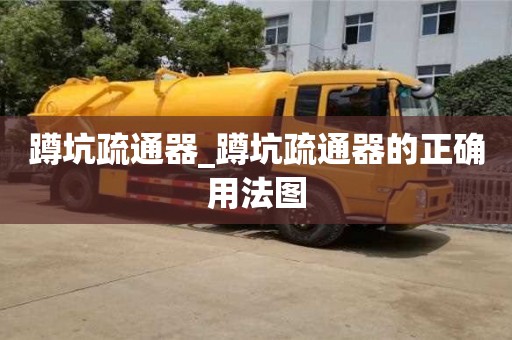 昆明蹲坑疏通器_蹲坑疏通器的正确用法图