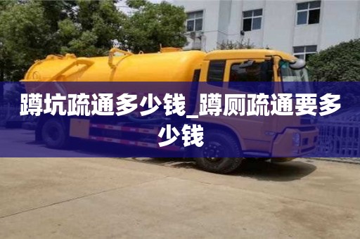上海蹲坑疏通多少钱_蹲厕疏通要多少钱