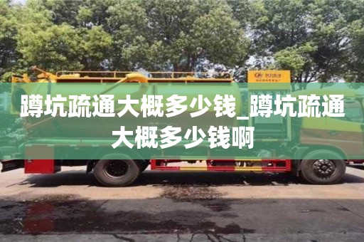 唐山蹲坑疏通大概多少钱_蹲坑疏通大概多少钱啊