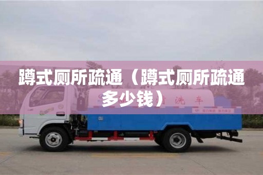 太原蹲式厕所疏通（蹲式厕所疏通多少钱）