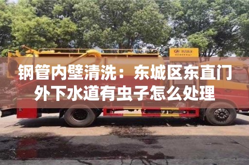 唐山钢管内壁清洗：东城区东直门外下水道有虫子怎么处理