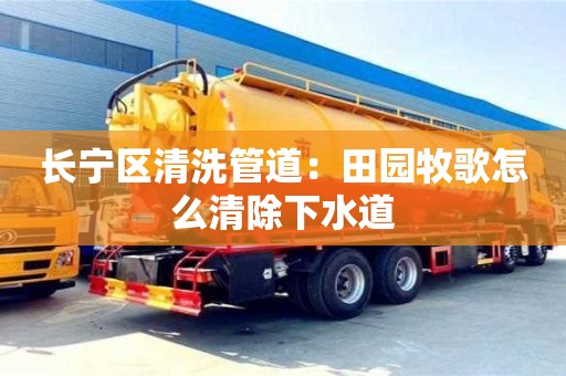 长宁区清洗管道：田园牧歌怎么清除下水道