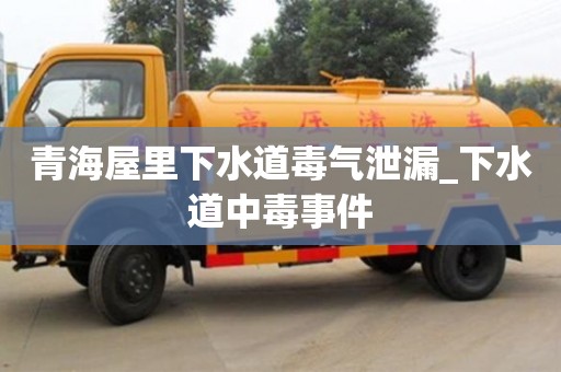 宁波青海屋里下水道毒气泄漏_下水道中毒事件
