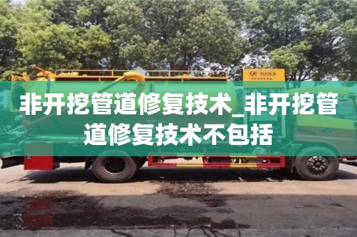 非开挖管道修复技术_非开挖管道修复技术不包括