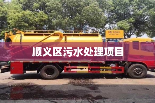 西安顺义区污水处理项目