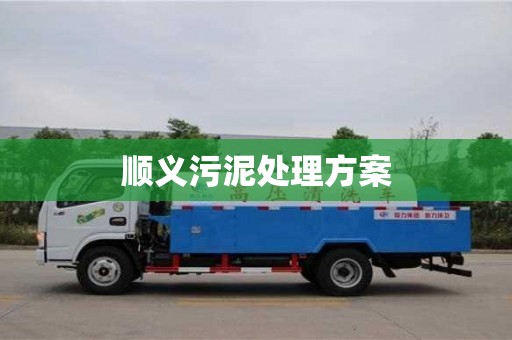 顺义污泥处理方案