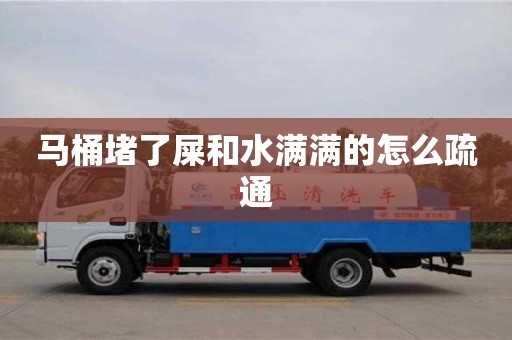 北京马桶堵了屎和水满满的怎么疏通