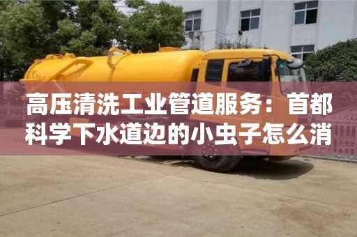 西安高压清洗工业管道服务：首都科学下水道边的小虫子怎么消