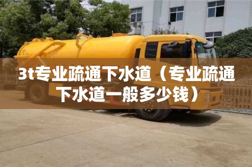 3t专业疏通下水道（专业疏通下水道一般多少钱）
