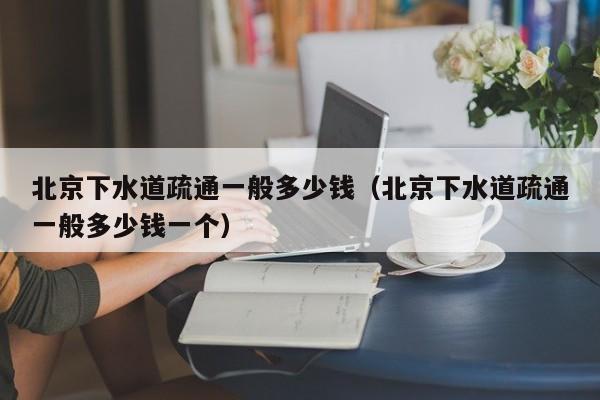 成都北京下水道疏通一般多少钱（北京下水道疏通一般多少钱一个）