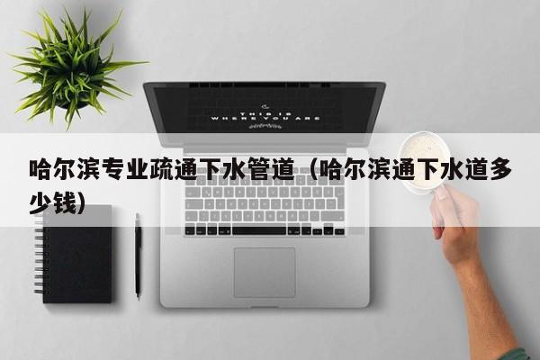 福州哈尔滨专业疏通下水管道（哈尔滨通下水道多少钱）