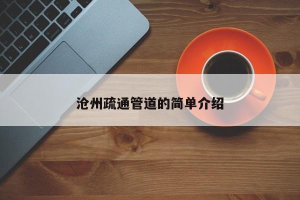 北京沧州疏通管道的简单介绍