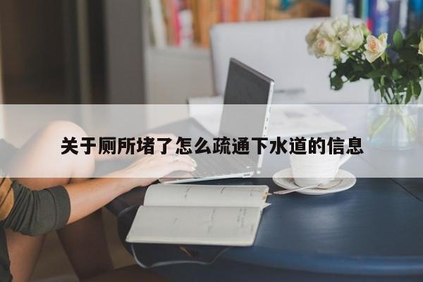 北京关于厕所堵了怎么疏通下水道的信息