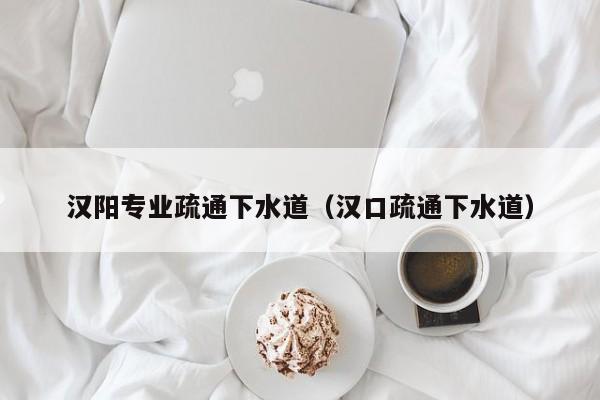 合肥汉阳专业疏通下水道（汉口疏通下水道）
