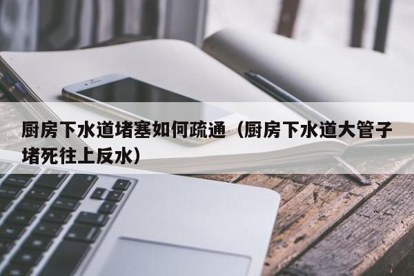 石家庄厨房下水道堵塞如何疏通（厨房下水道大管子堵死往上反水）