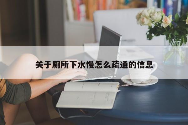 广州关于厕所下水慢怎么疏通的信息