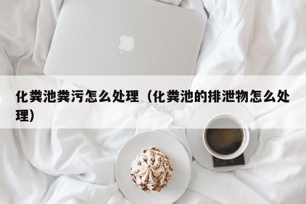武汉化粪池粪污怎么处理（化粪池的排泄物怎么处理）